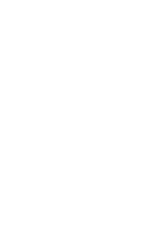FGSV